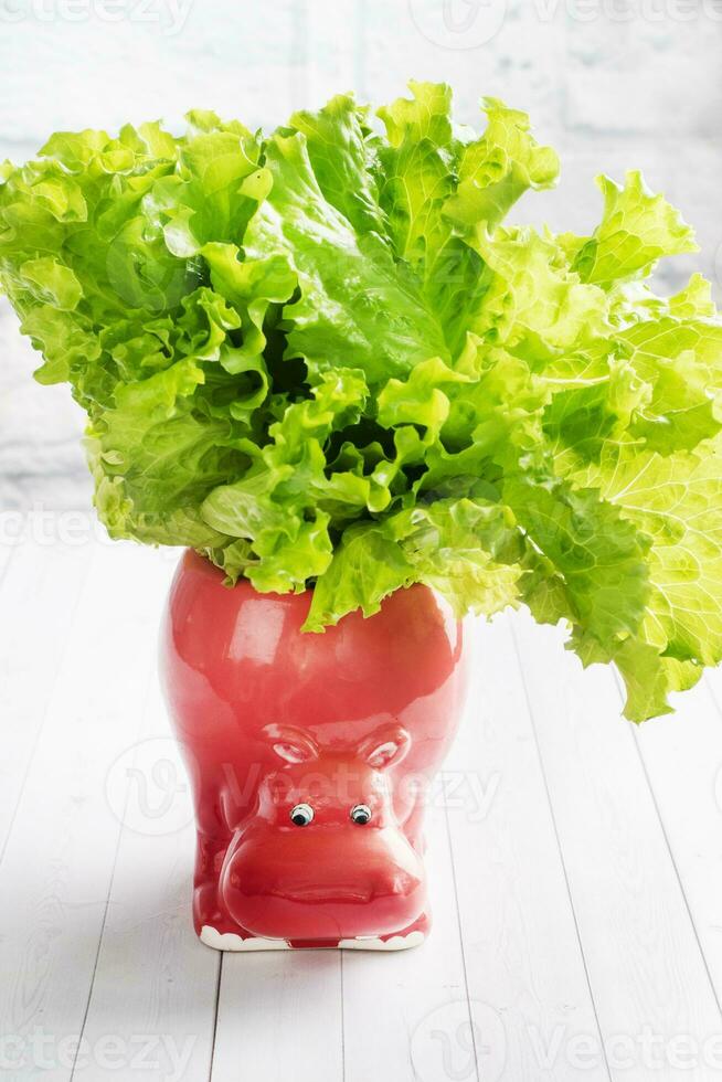 un manojo de lechuga hojas en un hipopótamo conformado jarra en un blanco mesa. Copiar espacio. foto