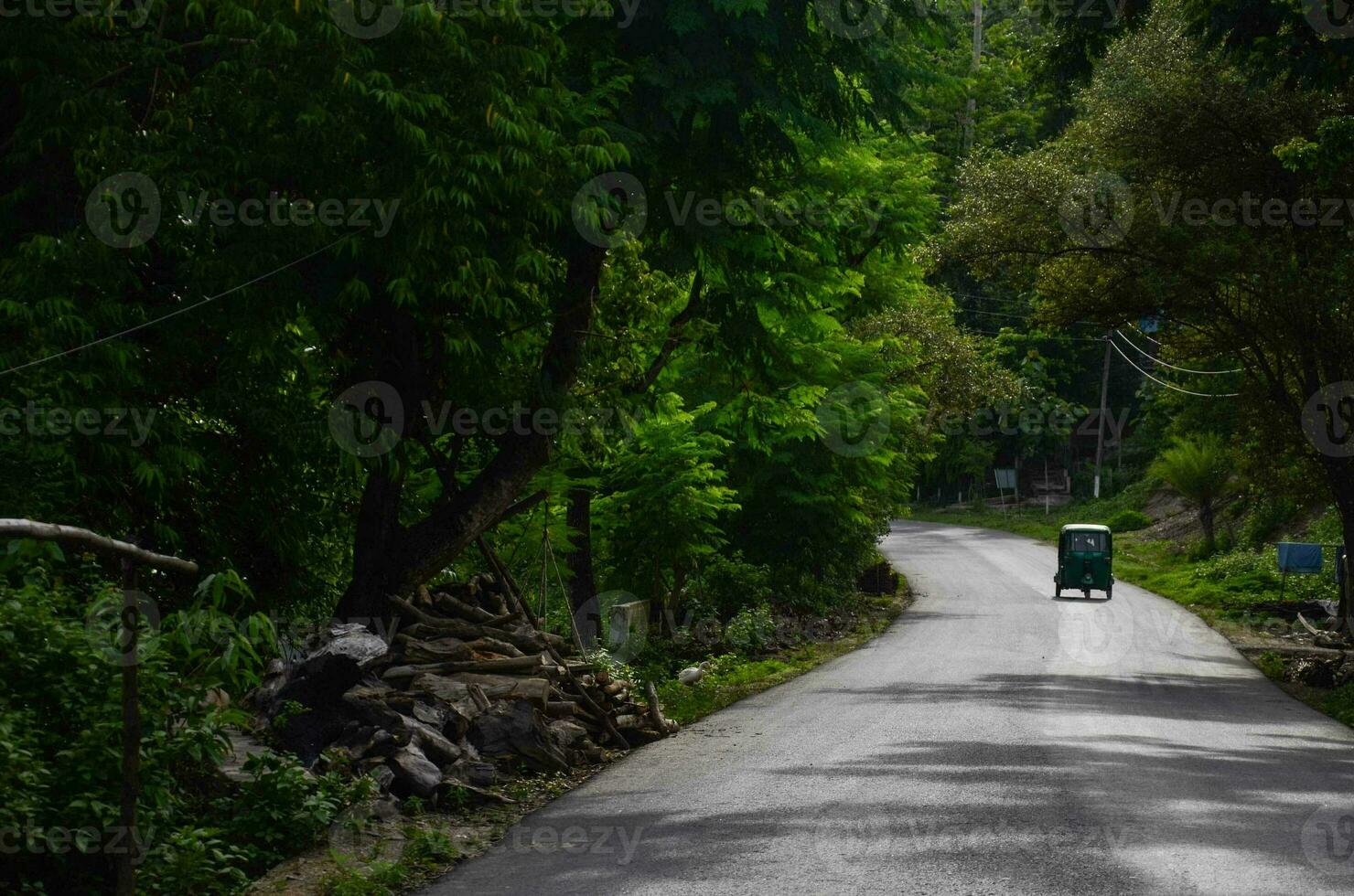 la carretera en magia oscuro bosque, verde paisaje antecedentes. naturaleza bosque. naturaleza arboles paisaje. 3d obra de arte foto