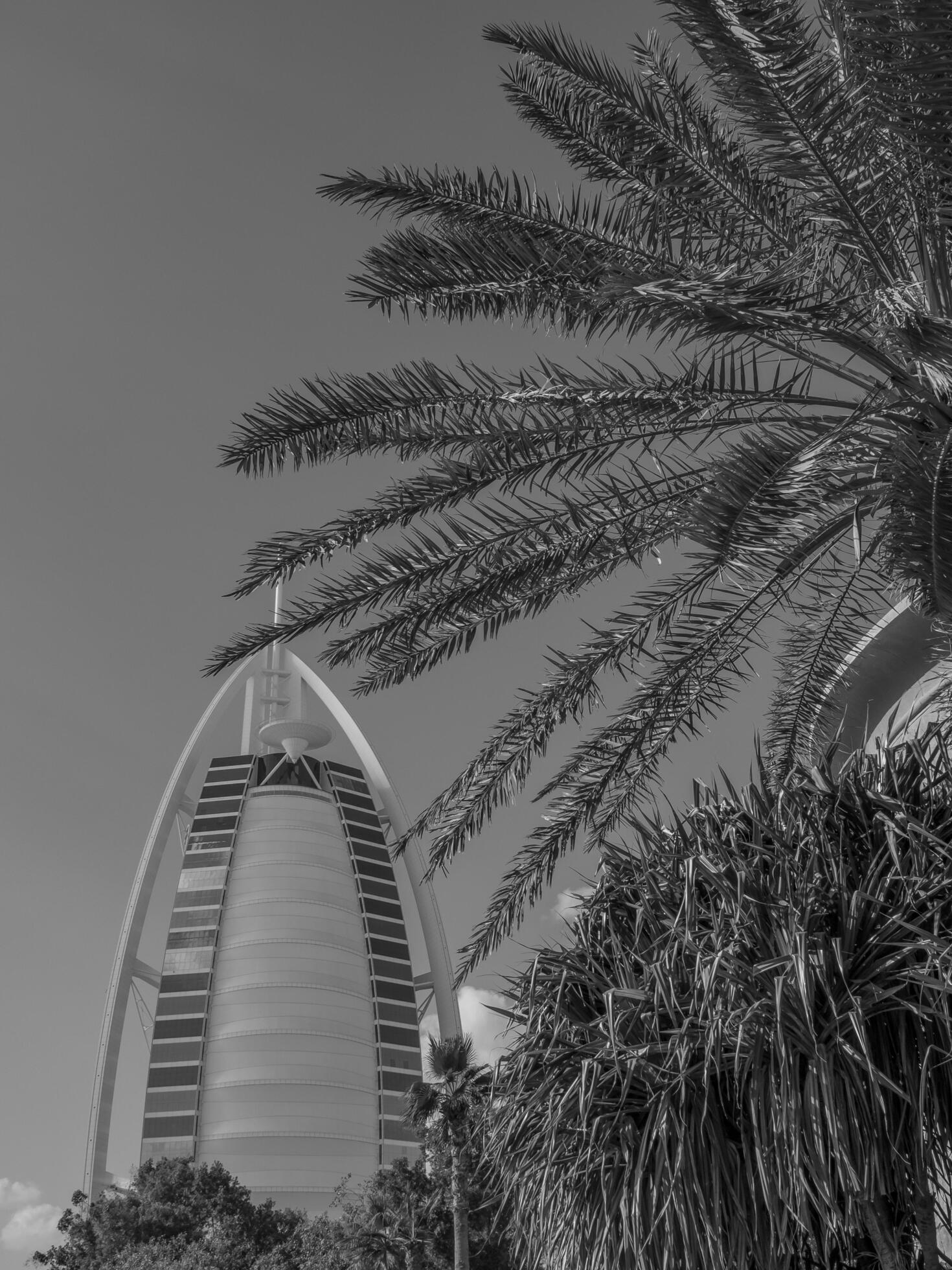 the-city-of-dubai-33651660-stock-photo-at-vecteezy