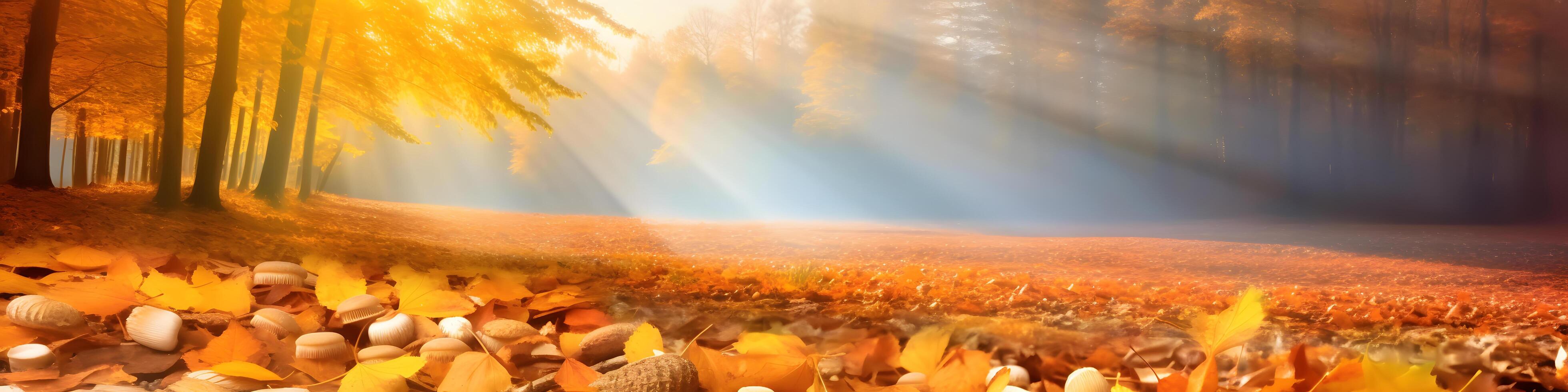 Autumnal trees in an outdoor park on a beautiful, bright day - Gorgeous, vibrant, colorful fall scenery including a blanket of yellow leaves. photo