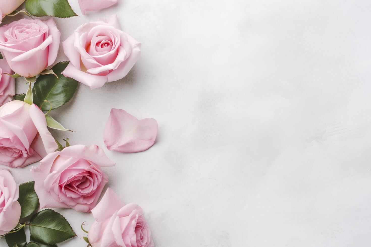 Close up of blooming pink roses flowers and petals isolated on white table background. Floral frame composition. Decorative web banner. Empty space, flat lay, top view. AI Generative photo