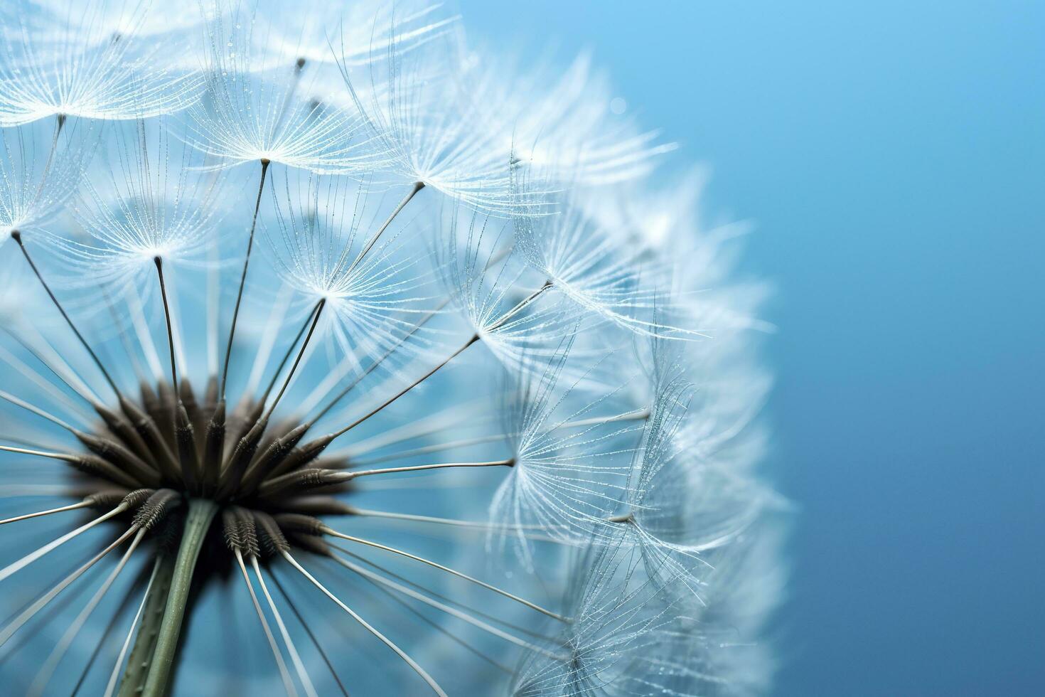 Close up of dandelion on the blue background. Generative AI photo