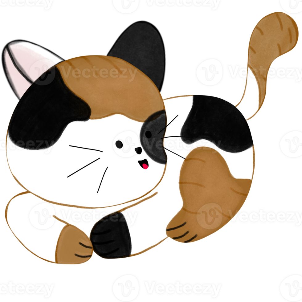 Three.colored kittens make different expressions png