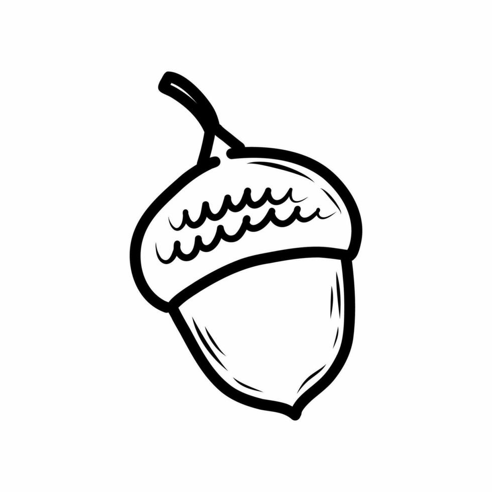 Acorn on white background. Vector doodle illustration.