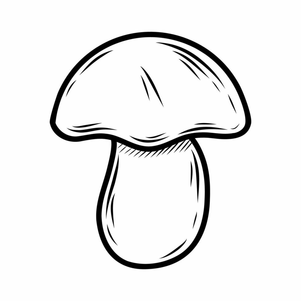 Mushroom on white background. Vector doodle illustration.