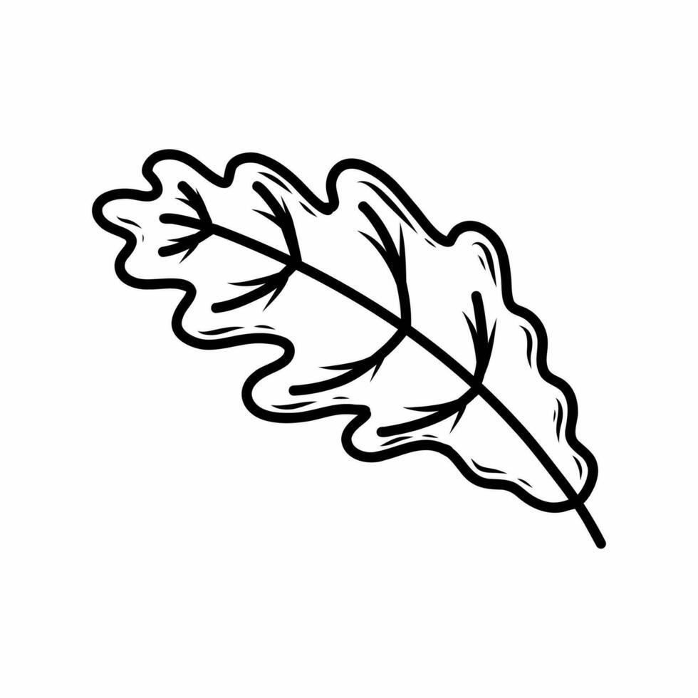 Oak leaf in doodle style. Vector hand drawn illustration. Coloring book for kids. Autumn drawing.