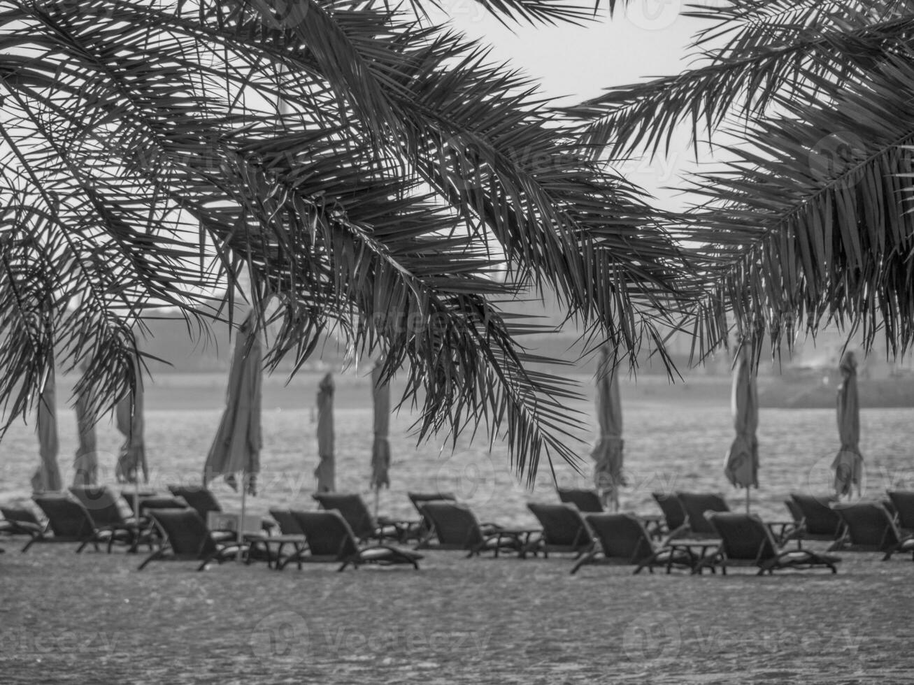 at the beach of Abu dhabi photo