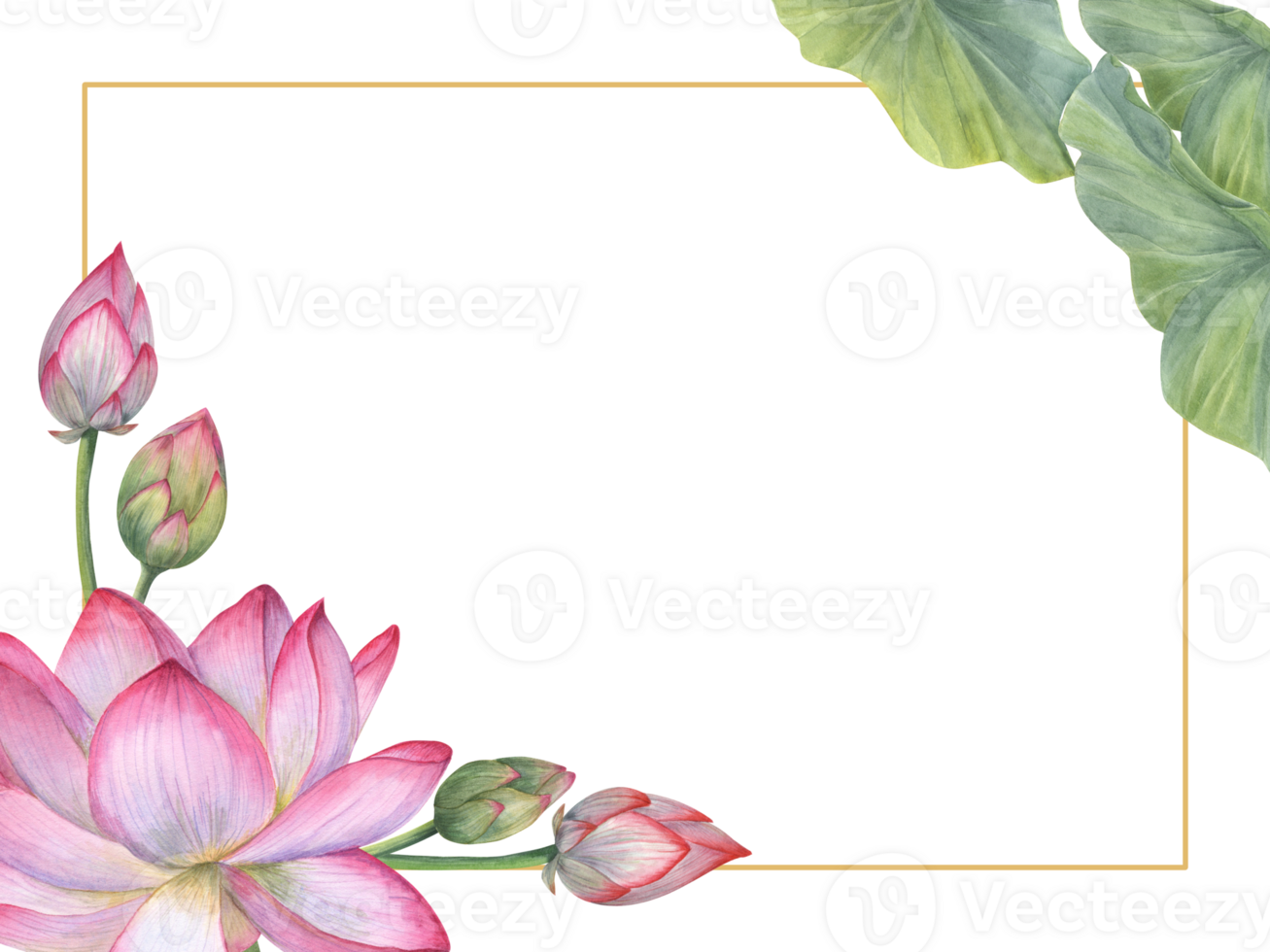 Frame of Indian sacred lotus flower, buds, leaves. Water lily, Indian lotus, green leaf, bud. Horizontal frame. Space for text. Watercolor illustration for greetings, invitation, postcards. png