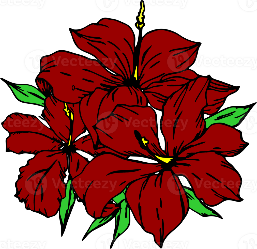 three red hibiscus flowers without background, isolated element, decor