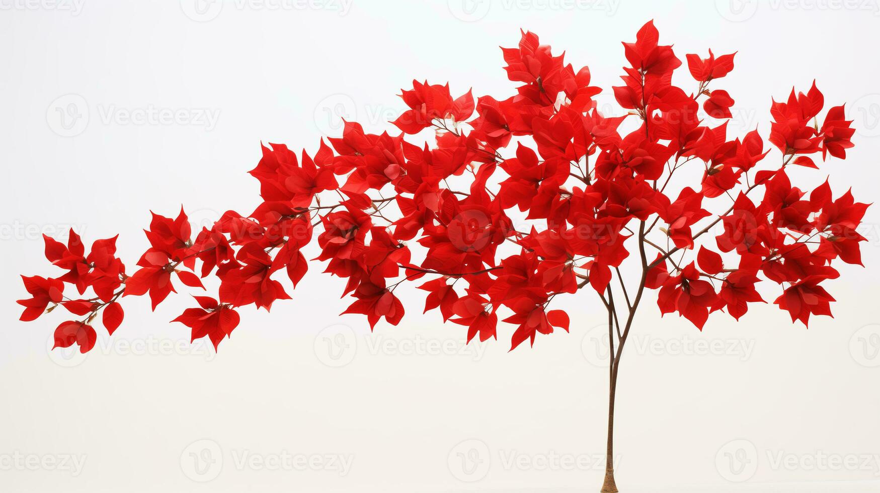 Red maple leaf in white background. Ai Generated. photo