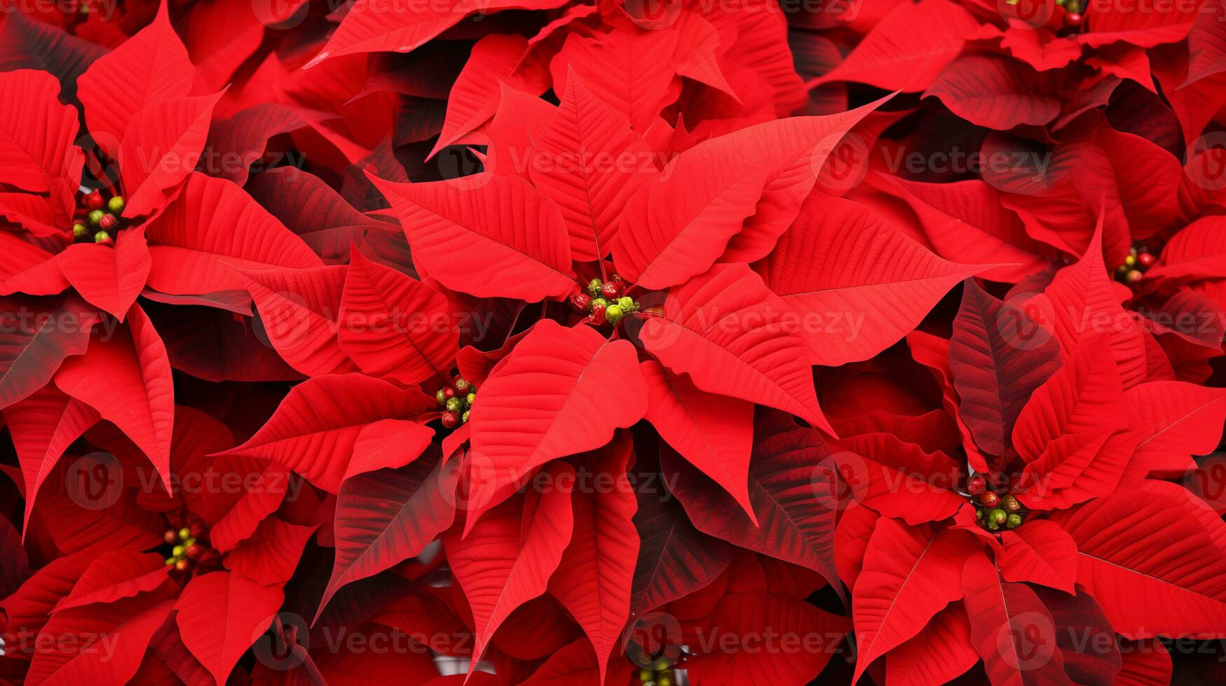 rojo flor de pascua Navidad antecedentes. ai generado. foto