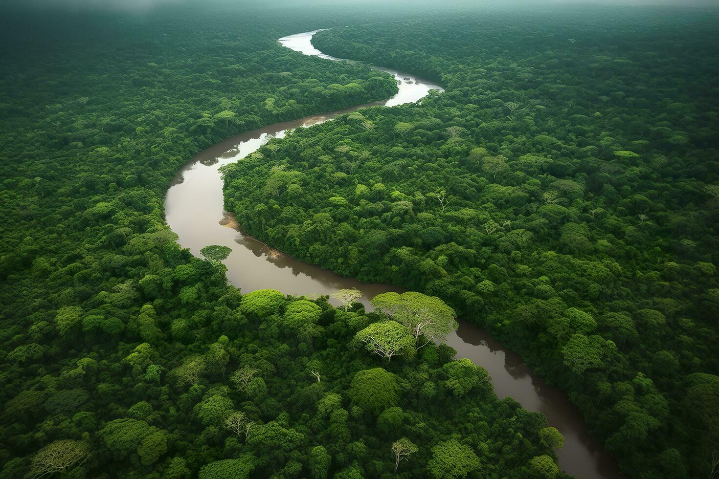 Aerial view of the Amazonas jungle landscape with river bend. Generative AI photo