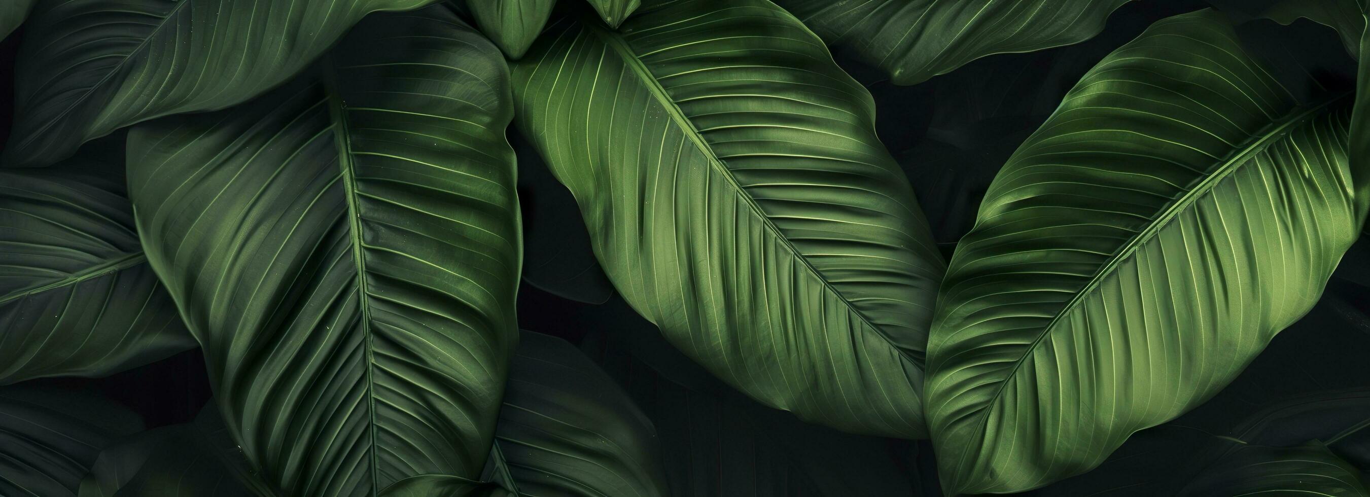 Abstract green leaf texture with nature background, tropical leaf. Generative AI photo