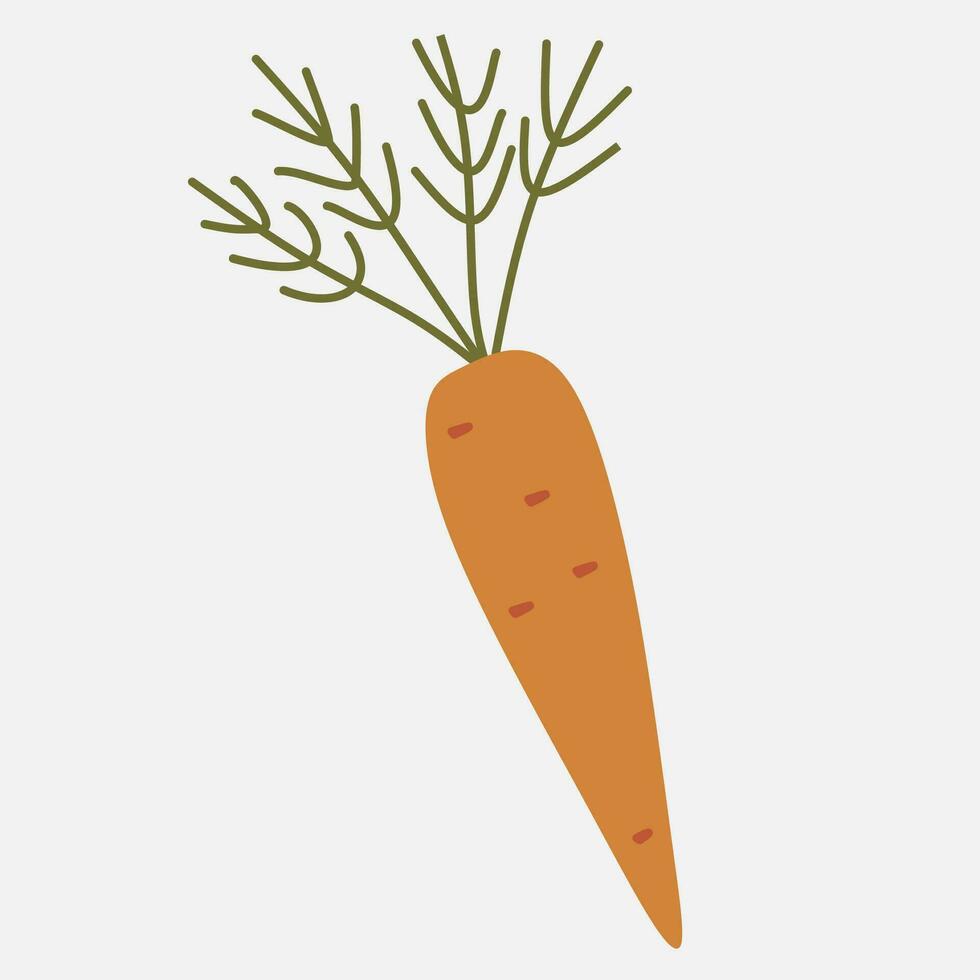 Carrot icon in a flat design on a white background. Vector illustration. Cartoon style vegetable for Logo, Grocery banner, Flyer. Nutrition, Vitamin, Organic food concept. Autumn harvest