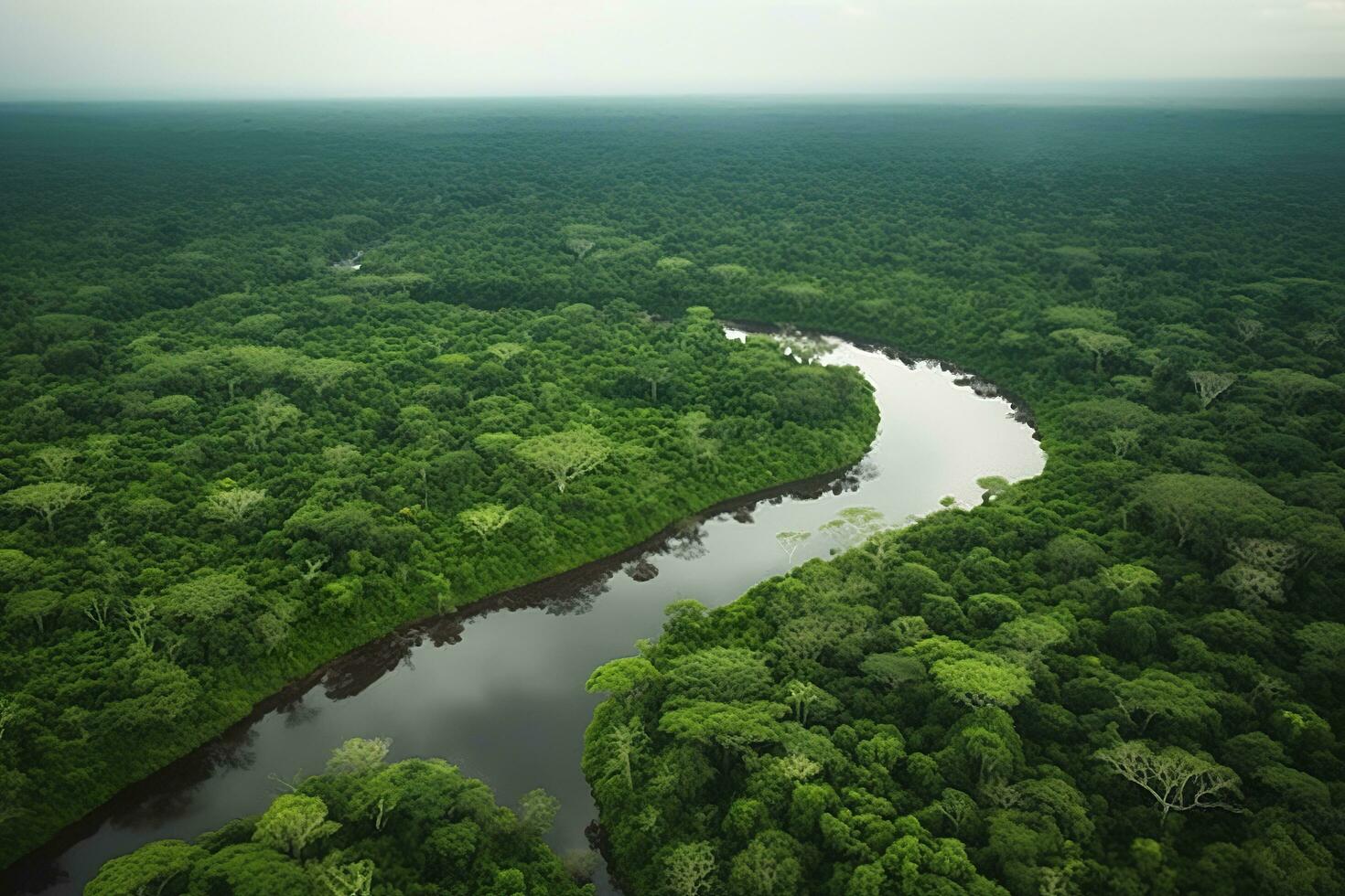 Aerial view of the Amazonas jungle landscape with river bend. Generative AI photo