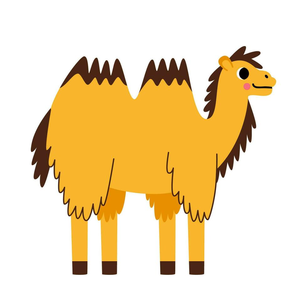 Vector illustration of cute bactrian camel isolated on white background.