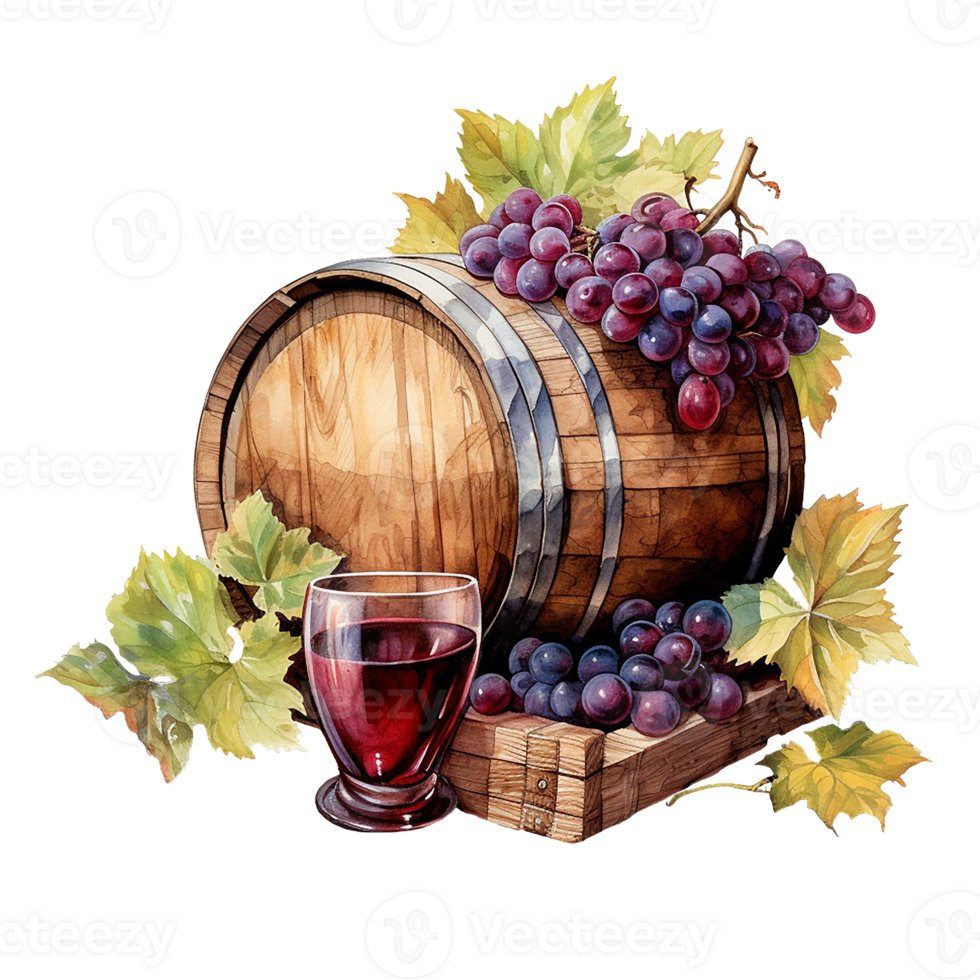 watercolor drawing, barrel of wine. red wine in a glass, grapes. vintage illustration png