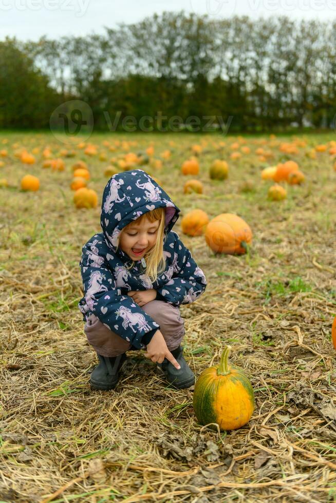 Cute little smiling girl sitting and pointing at small pumpkin photo