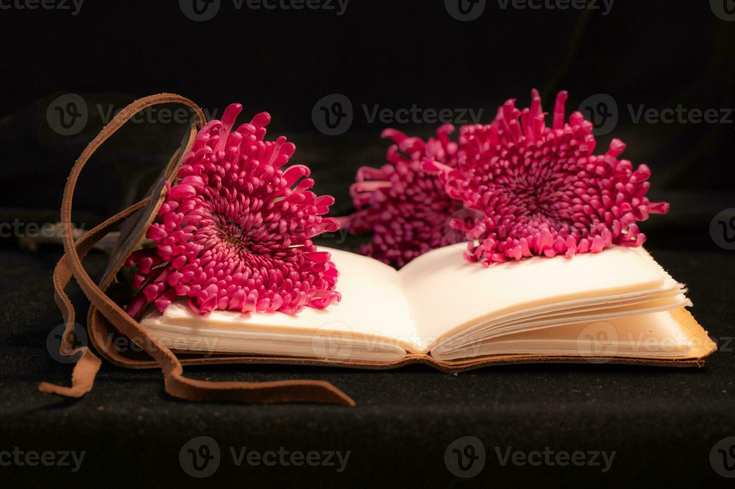 Closeup of a blank diary book with flowers resting on the pages. photo