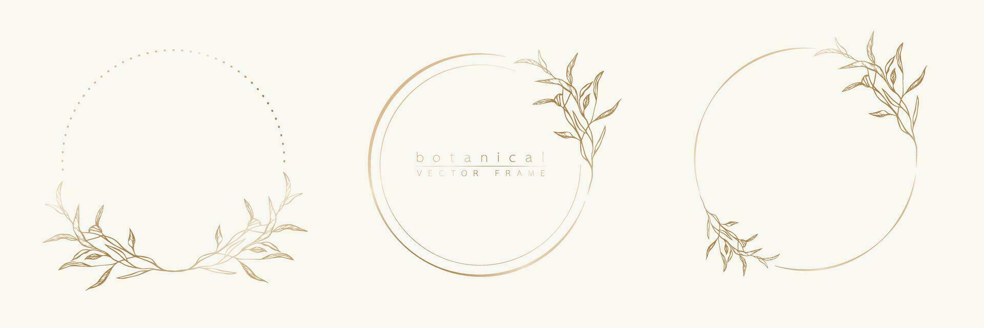 Botanical golden circle frame set. Hand drawn round line border, leaves and flowers for wedding invitation and cards, logo design, social media and posters template. Elegant minimal floral vector. vector