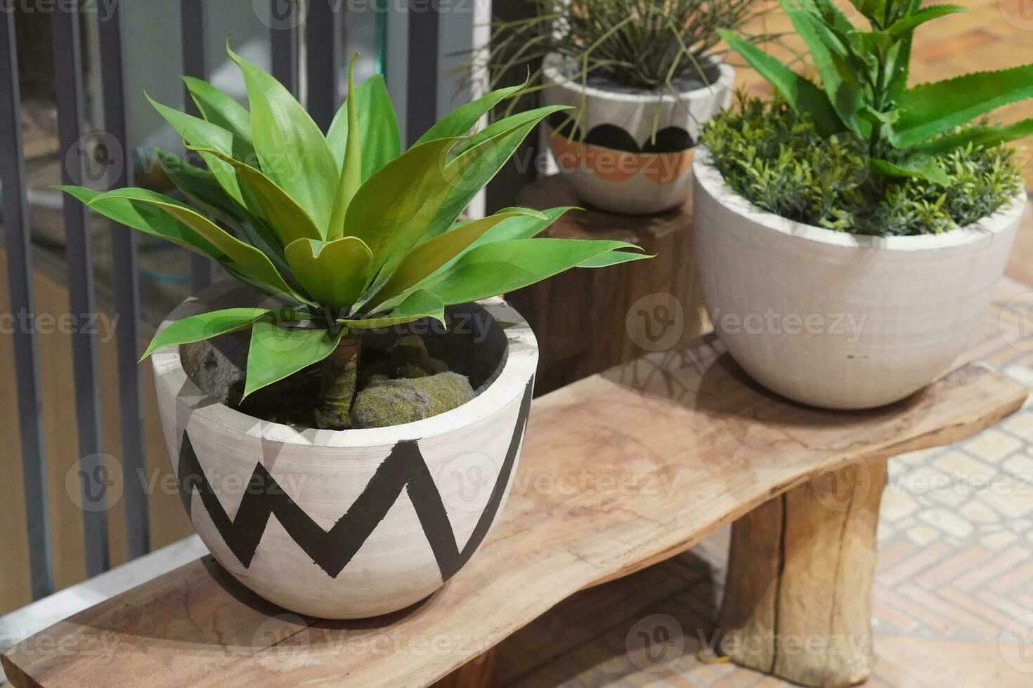 closeup green plants in black and white clay pots on a wooden chair on floor photo