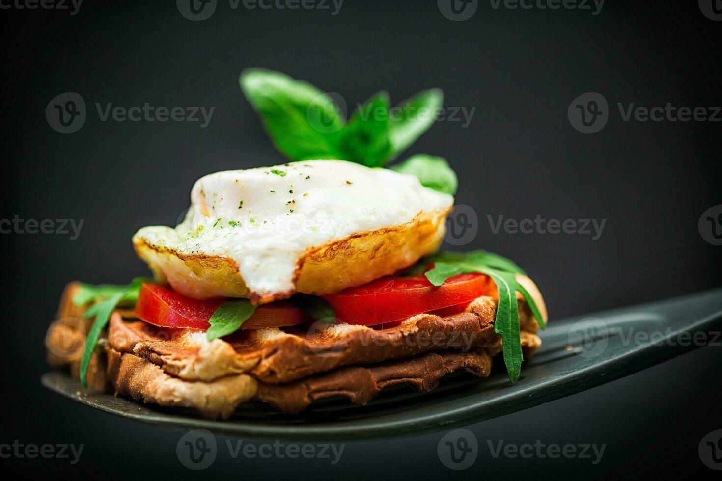 Prepared toast sandwich with fried egg with spices and herbs. photo