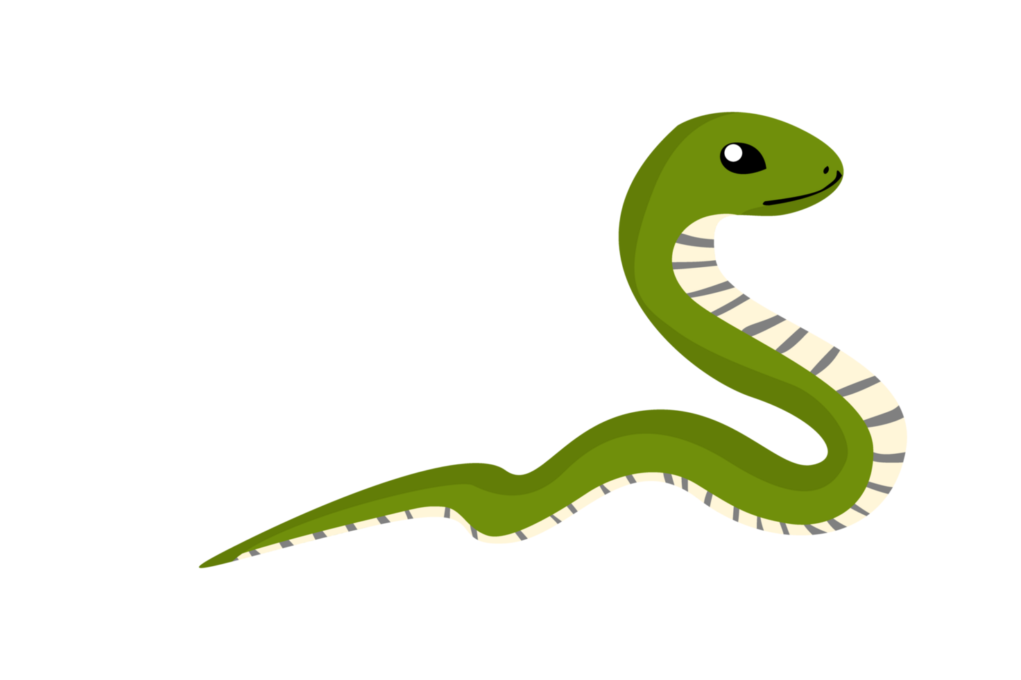Animal - Green Snake png
