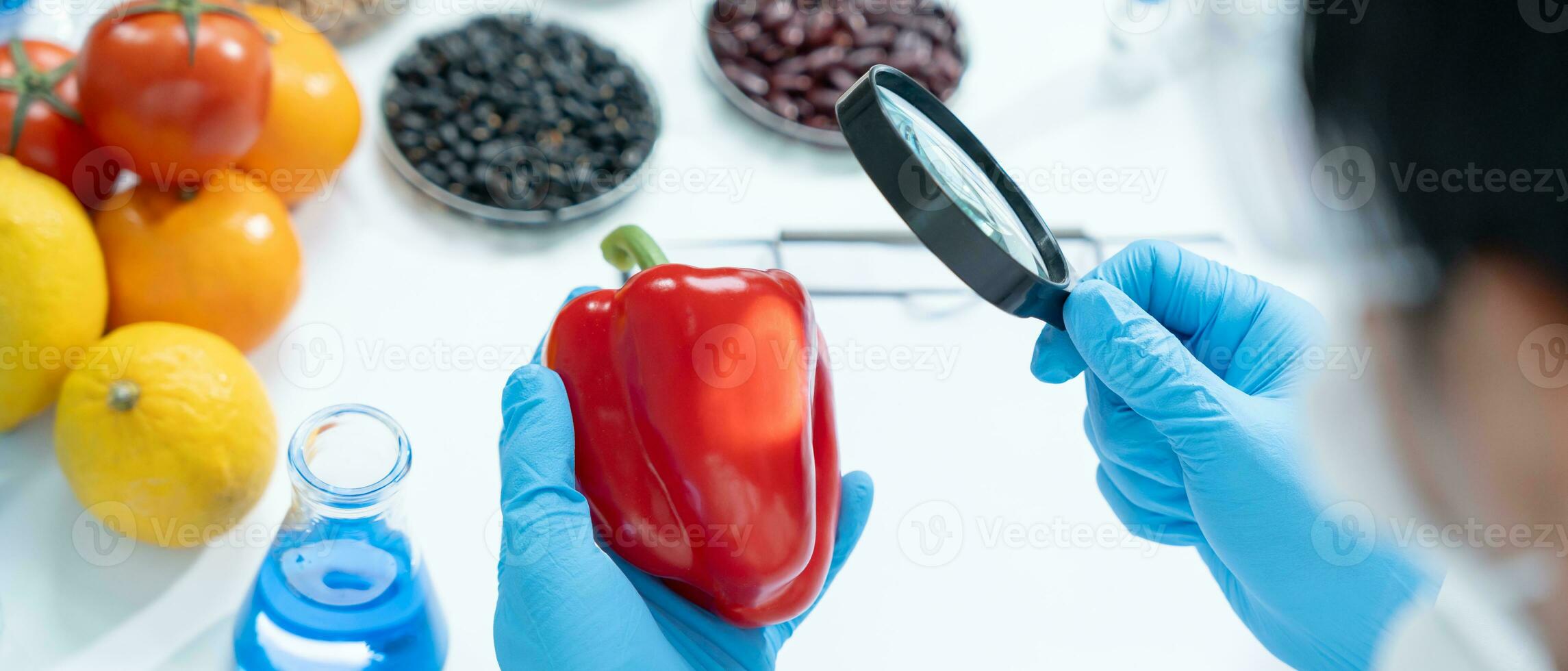 Scientist check chemical food residues in laboratory. Control experts inspect the concentration of chemical residues. hazards, ROHs standard, find prohibited substances, contaminate, Microbiologist photo