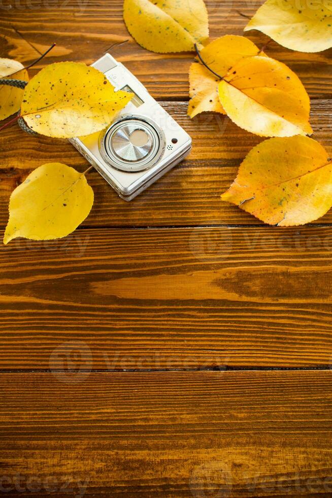 Autumn foliage with a camera on a wooden table. photo