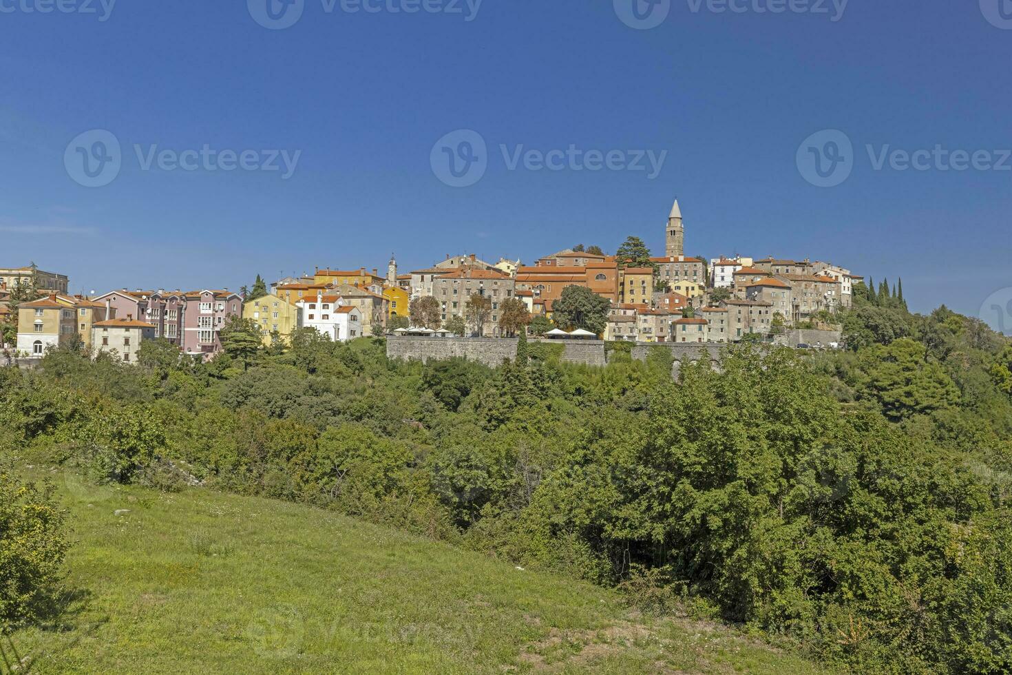 imagen de el histórico pueblo de laboratorio en el croata península de istria en verano foto