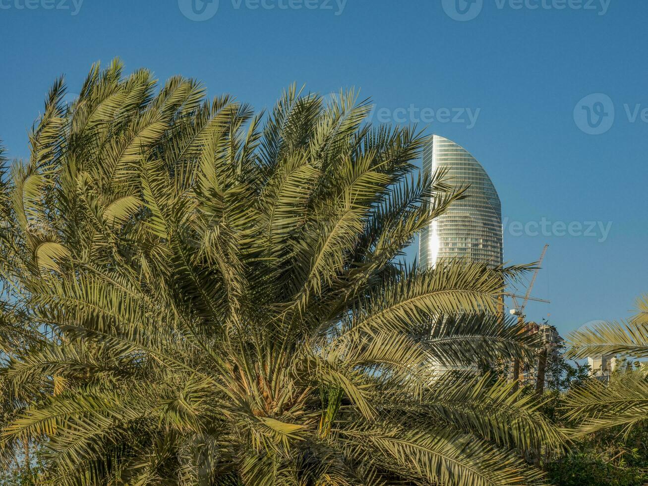 the beach of Abu dhabi photo