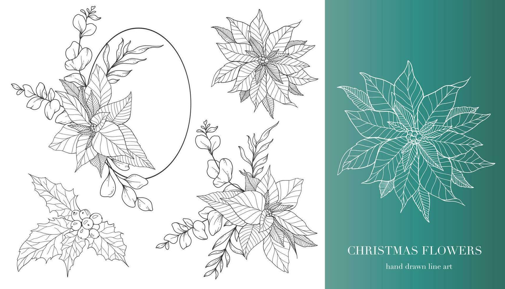 Poinsettia Line Art. Christmas Floral Frames and Bouquets Line Art. Fine Line Christmas Frame Hand Drawn Illustration. Hand Drawn Outline Poinsettia. ChristmasColoring Page. Poinsettia Isolated vector