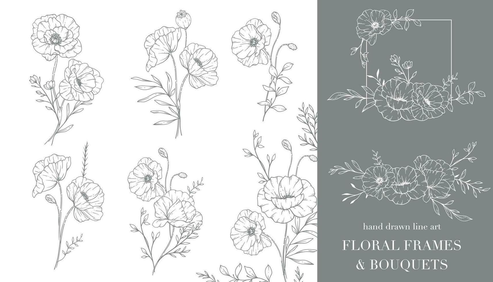 Poppy Flower Line Art. Floral Frames and Bouquets Line Art. Fine Line Poppies Frames Hand Drawn Illustration. Hand Draw Outline Wildflowers. Botanical Coloring Page. Poppy Isolated vector