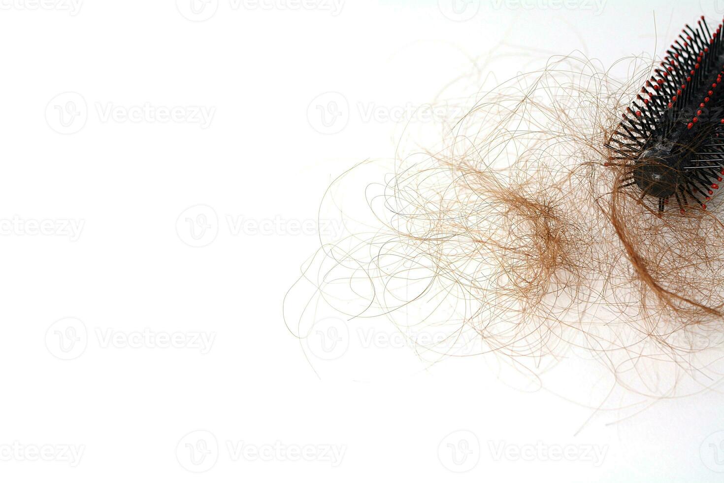 Hair loss in comb, hair fall everyday serious problem, on white background. photo