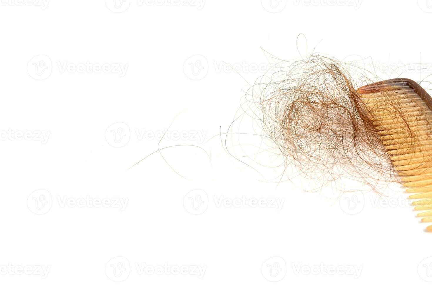pelo pérdida en peine, pelo otoño todos los días grave problema, en blanco antecedentes. foto