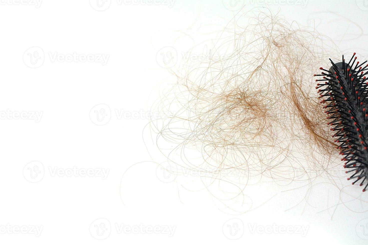 Hair loss in comb, hair fall everyday serious problem, on white background. photo