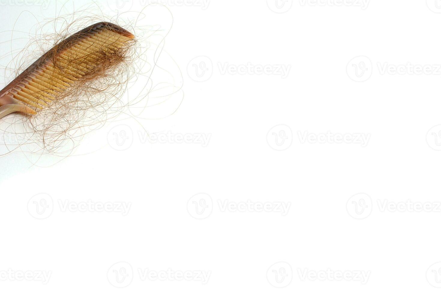 Hair loss in comb, hair fall everyday serious problem, on white background. photo