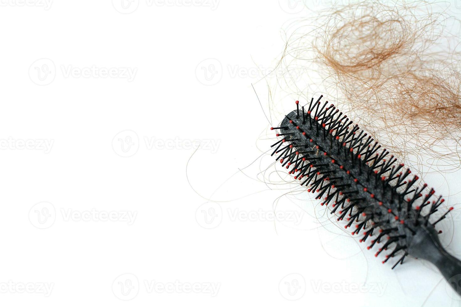 Hair loss in comb, hair fall everyday serious problem, on white background. photo