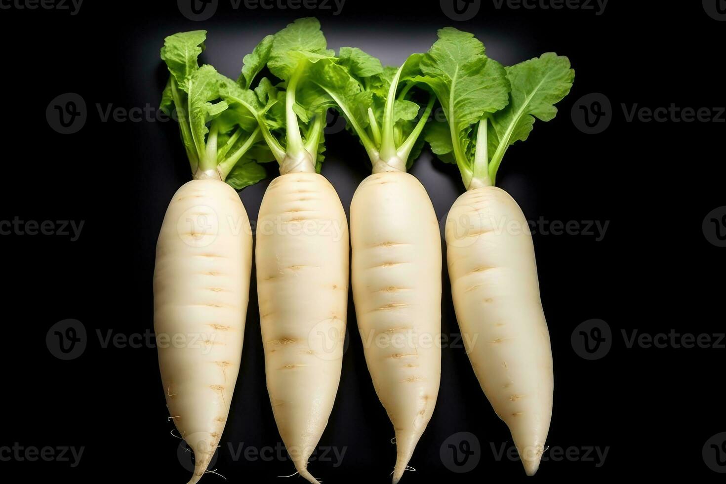 photos of long white radish ready to serve in indoor studio AI Generated