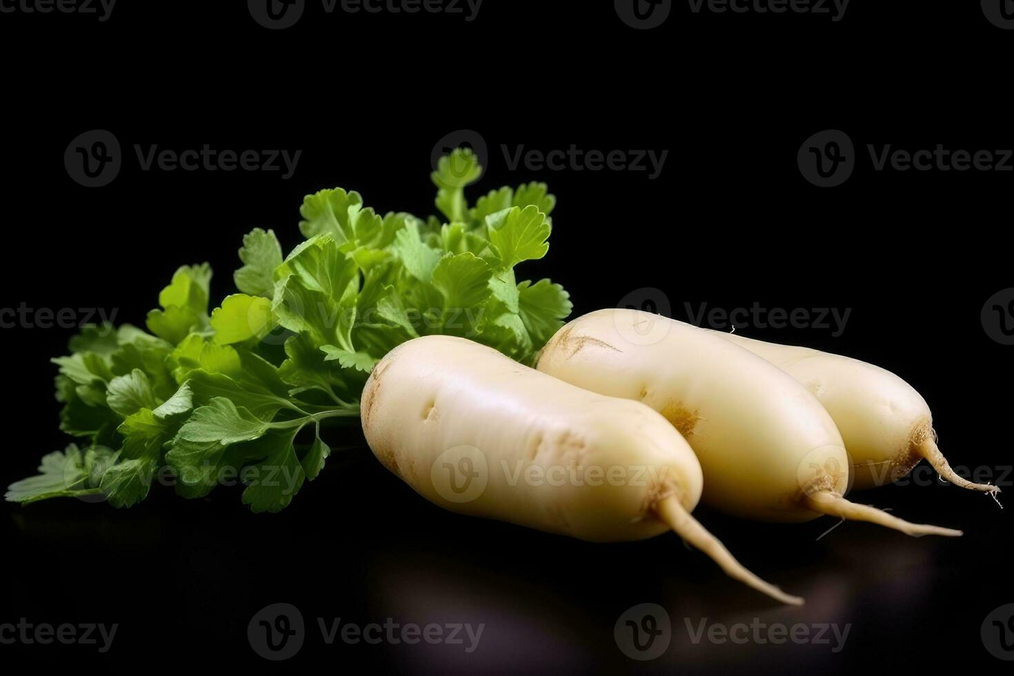 photos of long white radish ready to serve in indoor studio AI Generated