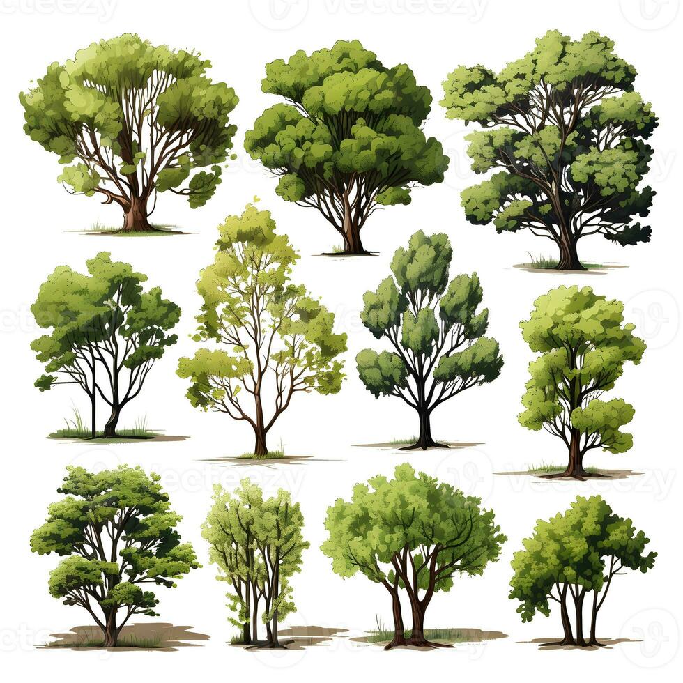 Set of trees water color isolated on white background generative Ai. photo