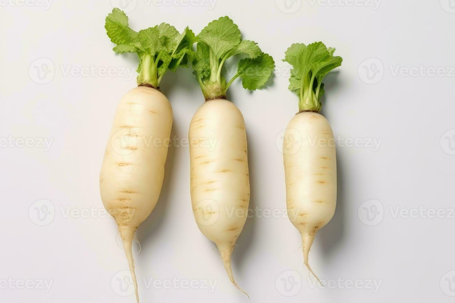 photos of long white radish ready to serve in indoor studio AI Generated