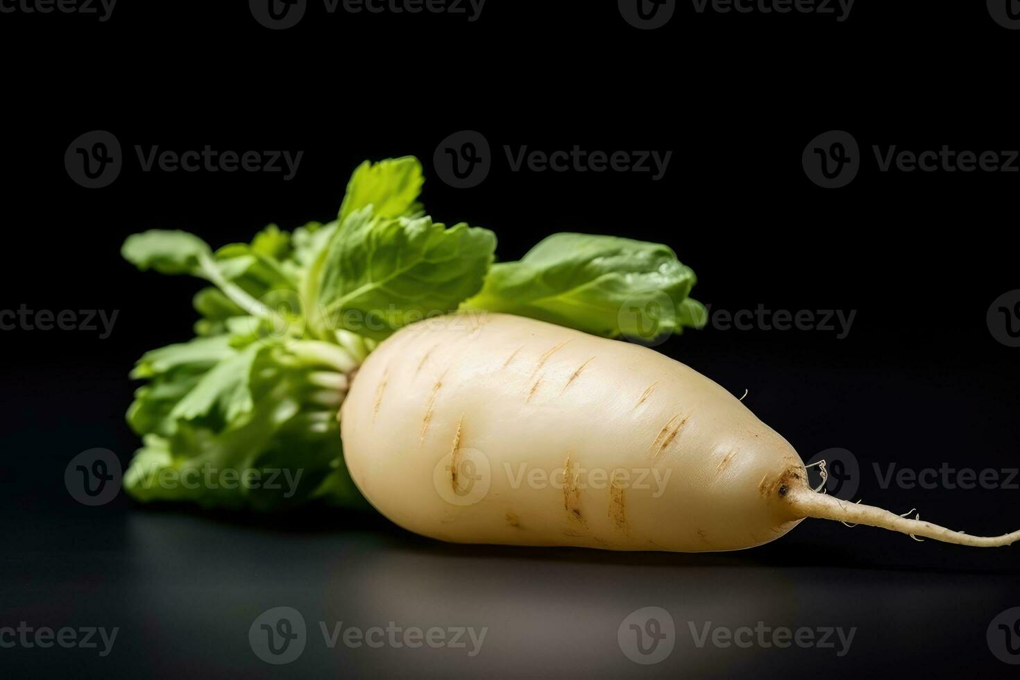 photos of long white radish ready to serve in indoor studio AI Generated