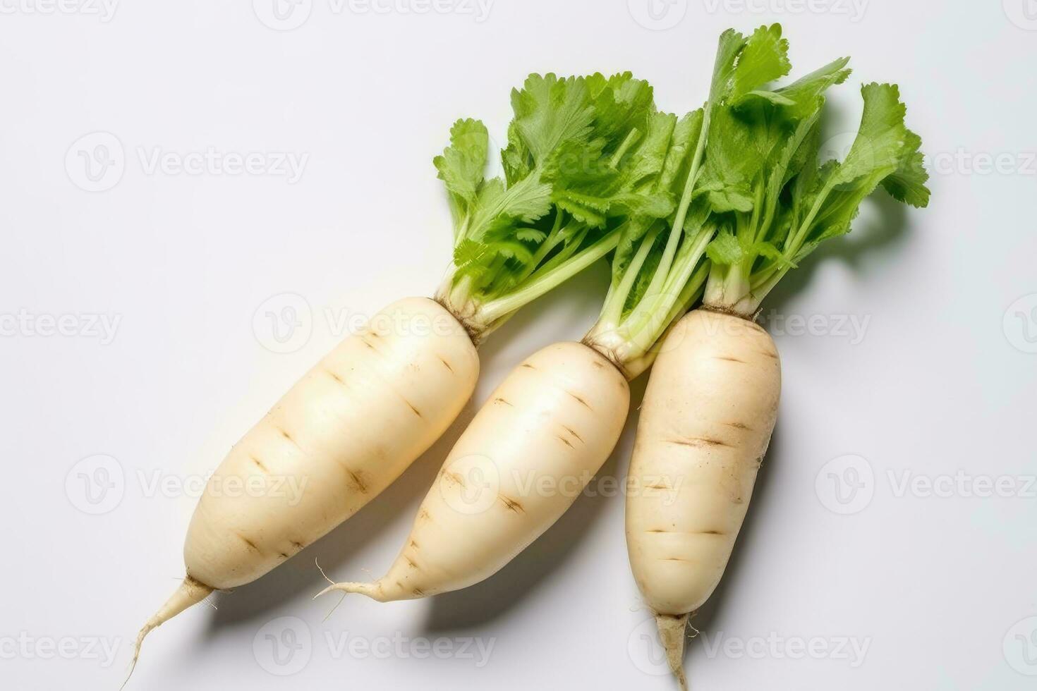 photos of long white radish ready to serve in indoor studio AI Generated