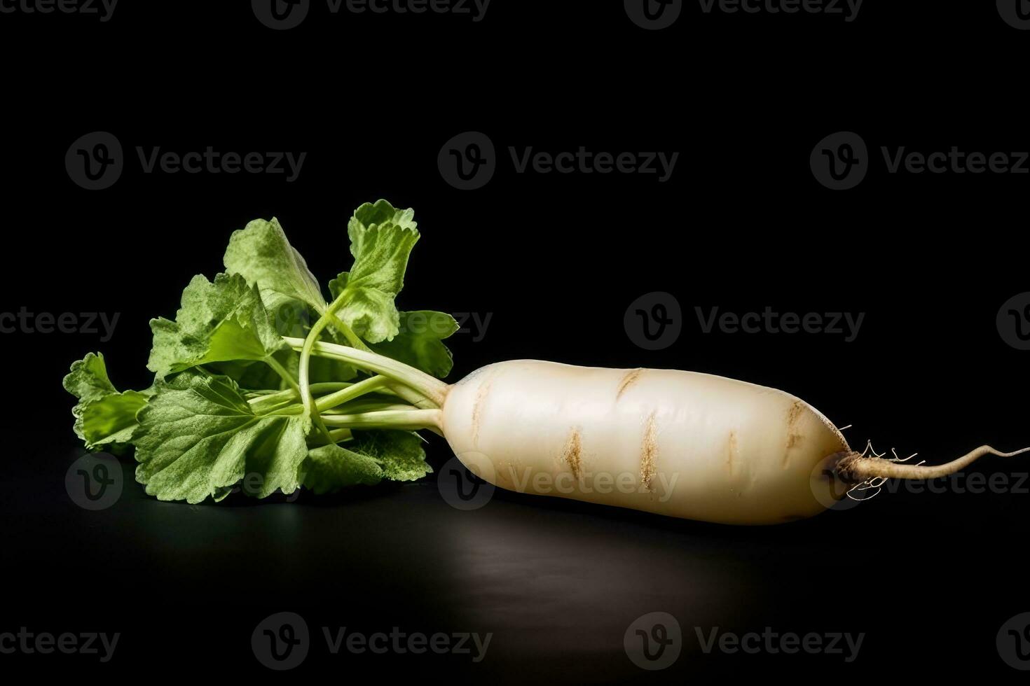 photos of long white radish ready to serve in indoor studio AI Generated