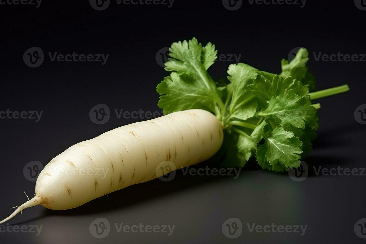 photos of long white radish ready to serve in indoor studio AI Generated