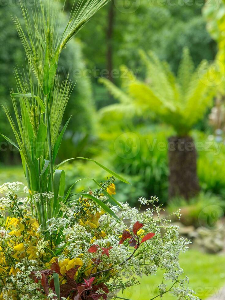 summer time in the garden photo