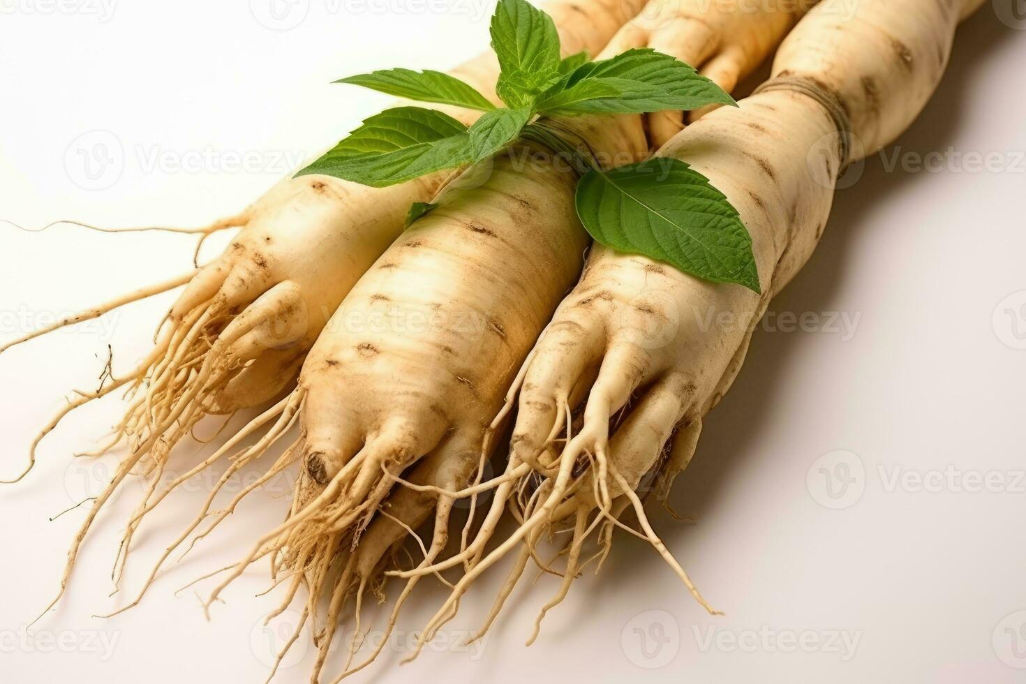 photos of ginseng in indoor photo studio AI Generated