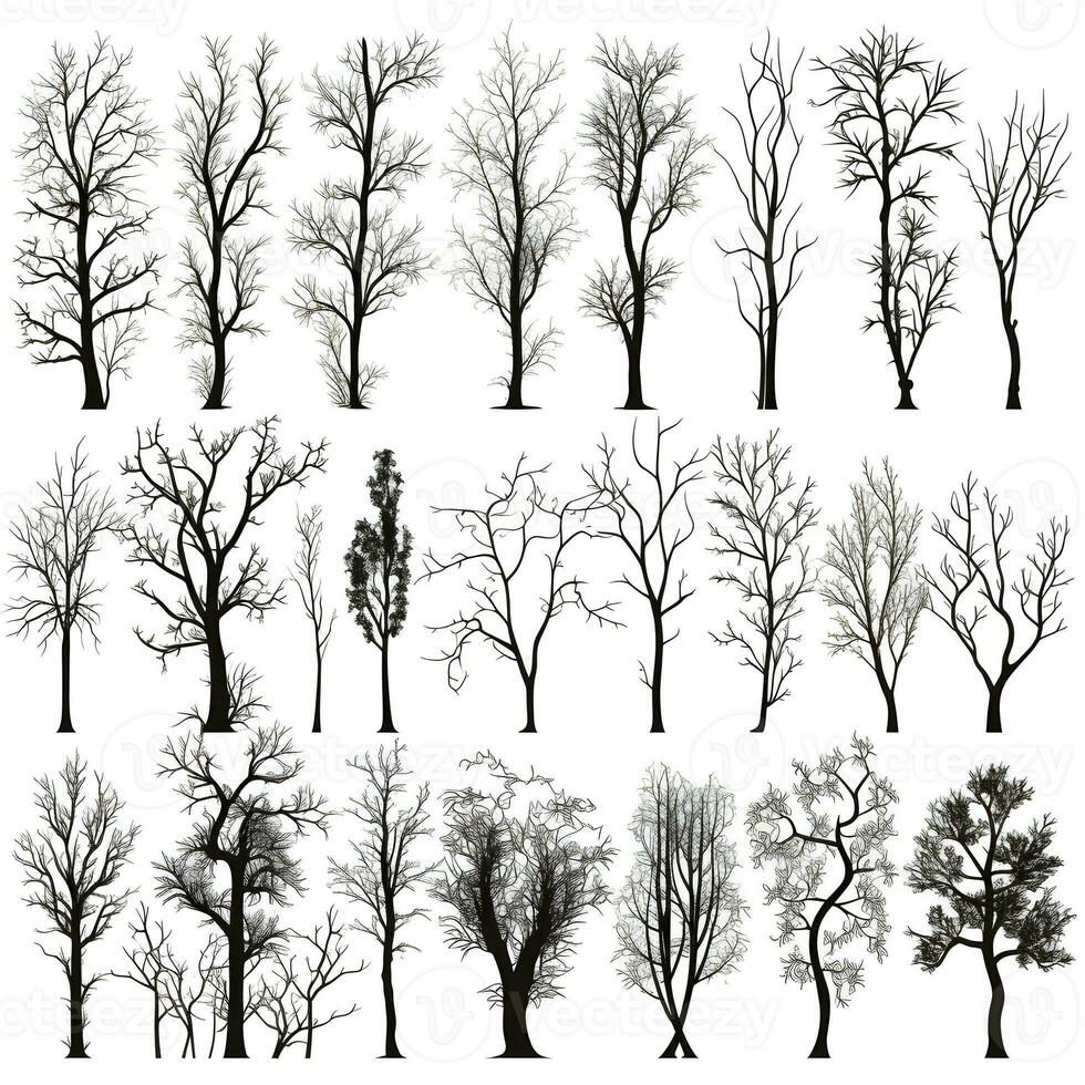 Set of trees silhouettes isolated on white background generative Ai. photo