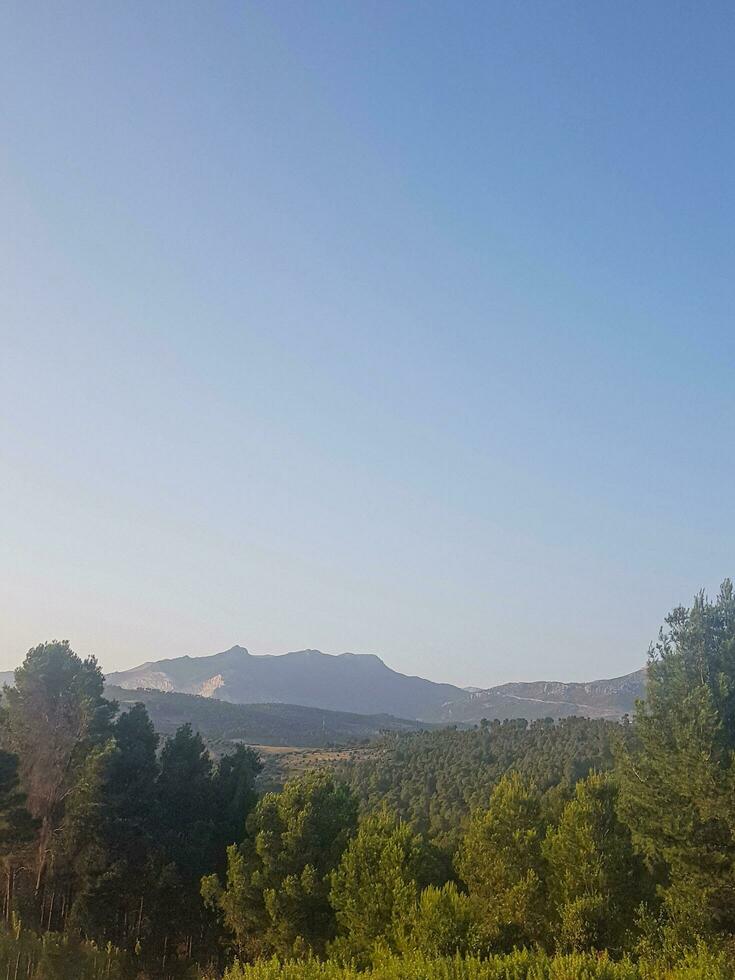 Evergreen forests and mountainous landscapes photo